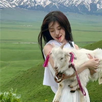 少理老豆旅行团